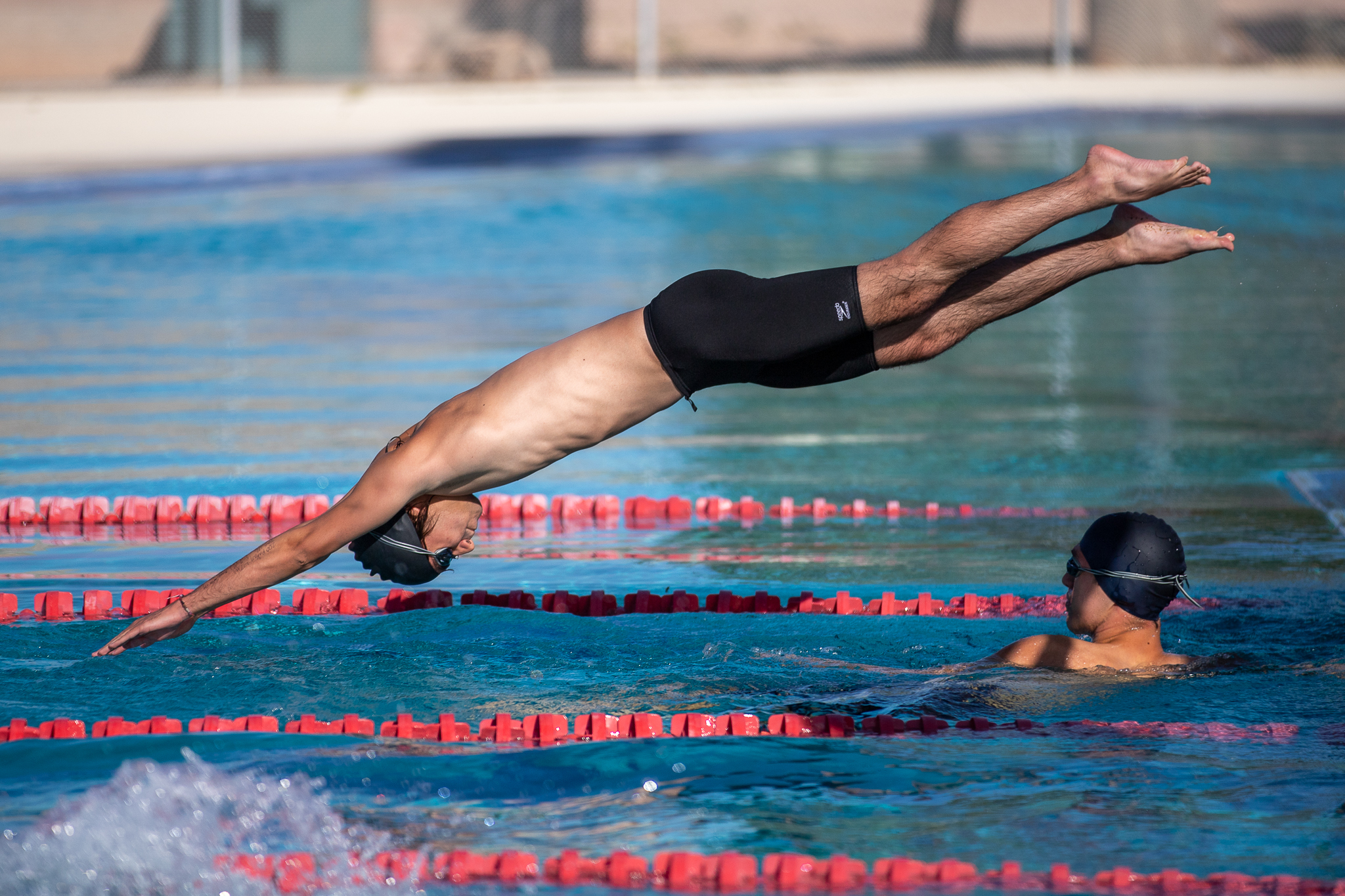 A Tucson High swimmer dives into the pool