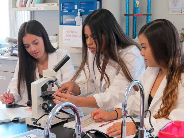 Students work together on a science project.