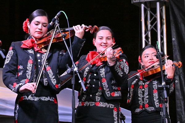 Three violinists play mariachi
