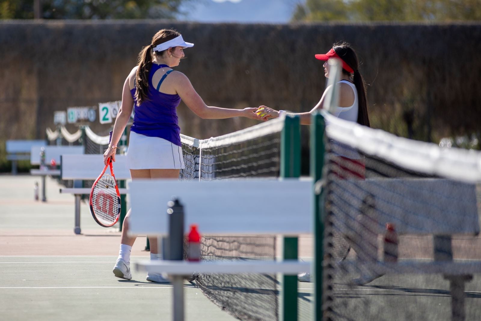 A Sabino girls tennis player and a THMS girls tennis player hand the ball over the net