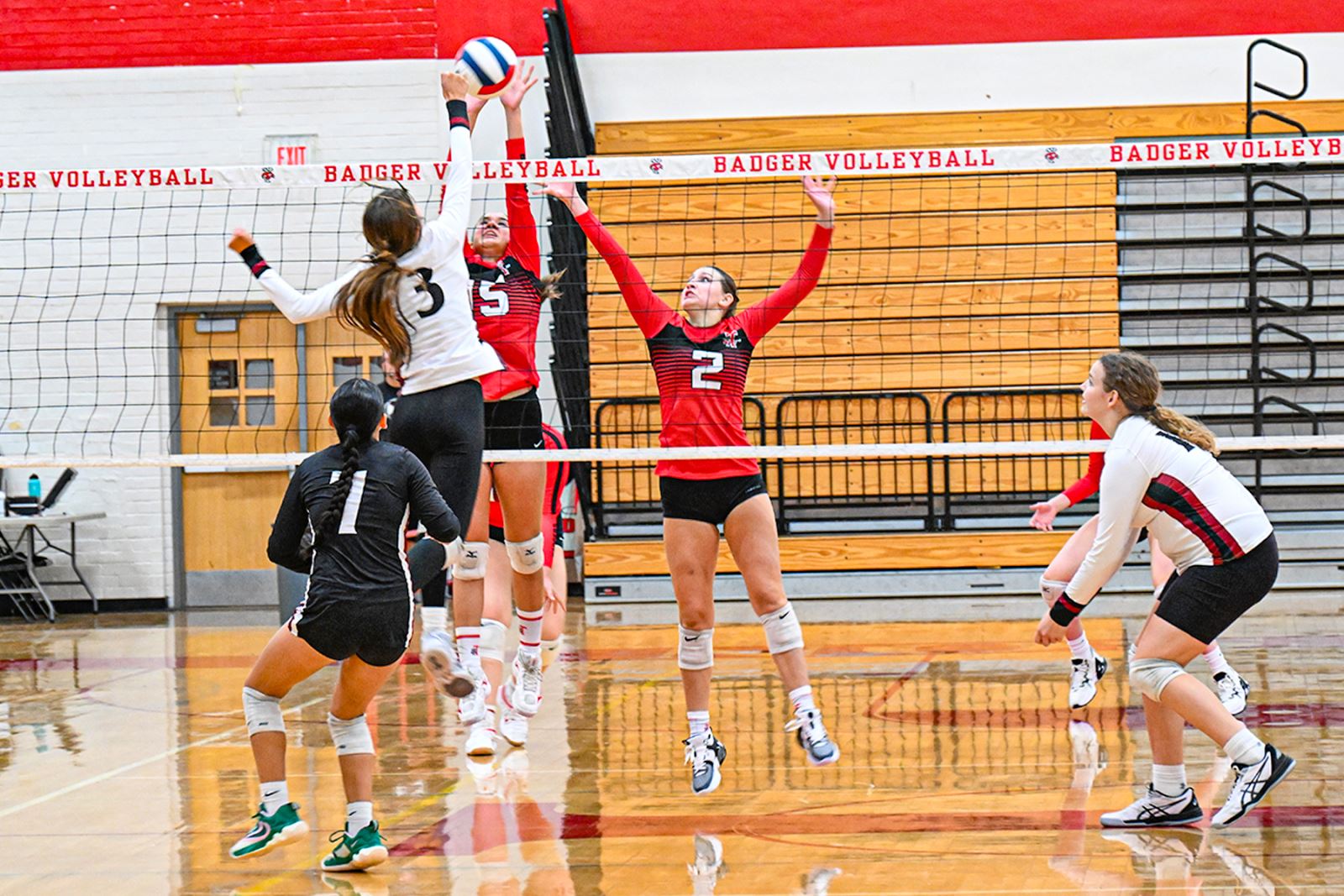 Volleyball players on Court