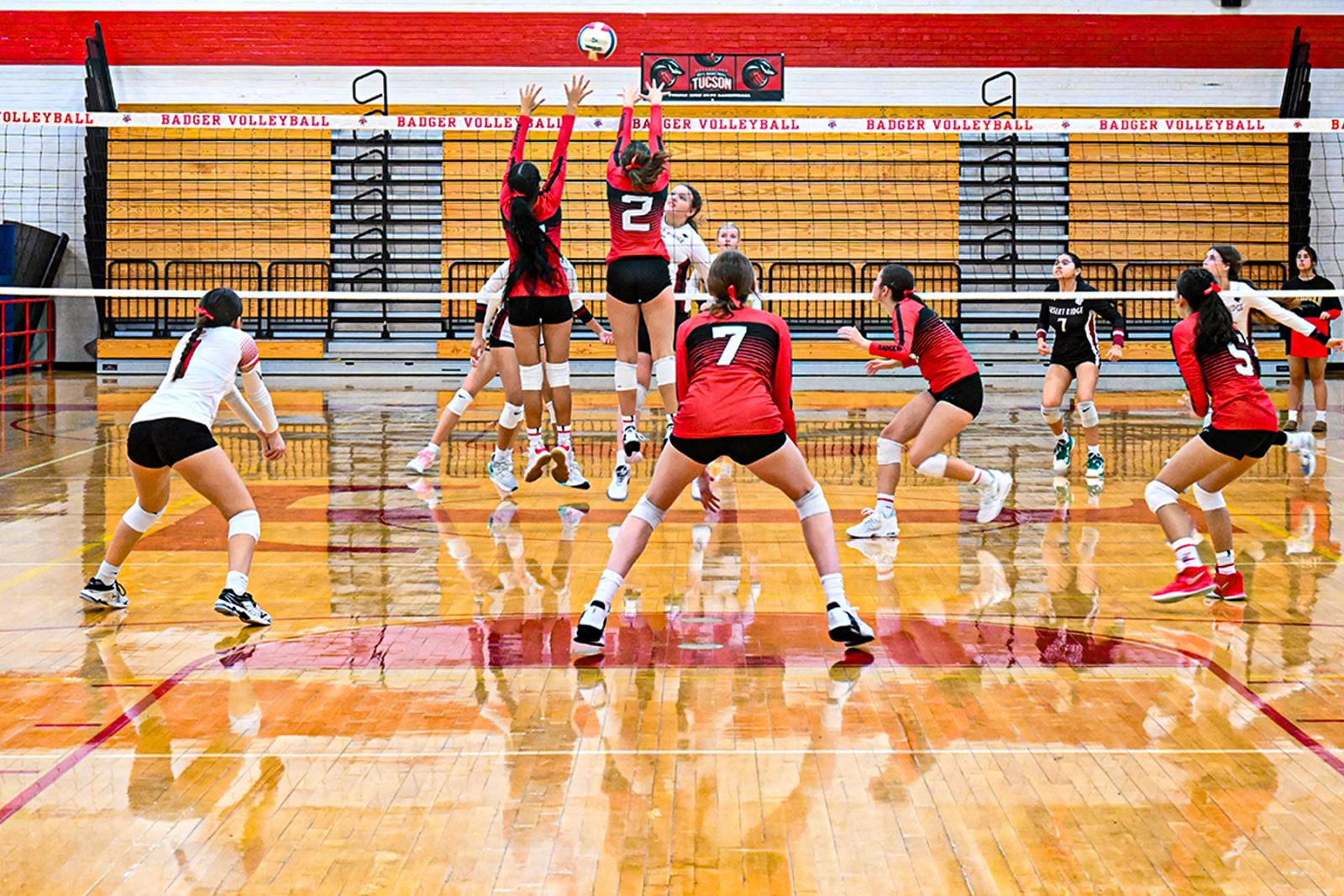 Volleyball players on court