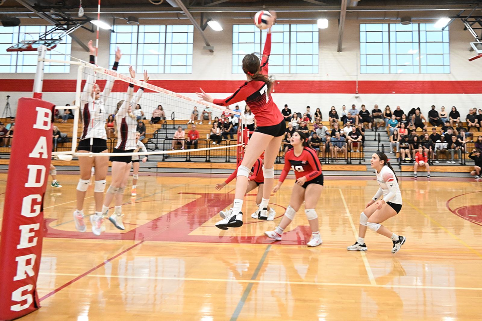 Volleyball players on Court